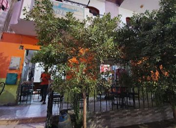 egypt/safaga/restaurant/pizza-shiekh-najdy