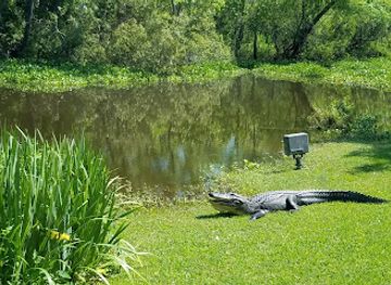 louisiana/honey-island-swamp/restaurant/restaurant-des-familles