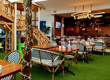 south-africa/pretoria/menlyn/restaurant/parrots