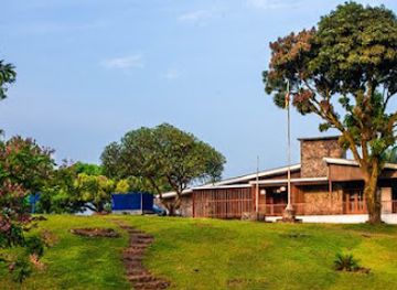 cameroon/dja-faunal-reserve/restaurant/iya-buea