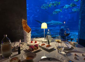 united-arab-emirates/dubai-desert-conservation-reserve/restaurant/ossiano