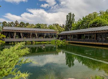 ukraine/kyiv-reservoir/restaurant/forrest-club