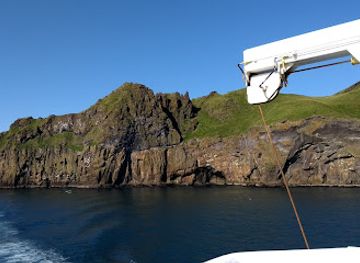 iceland/westman-islands/restaurant/pizza-67