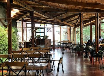 india/shimla/restaurant/cafe-under-tree