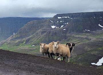 iceland/westfjords/restaurant/vikurskalinn-bolungarvik