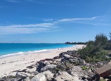 the-bahamas/exuma-cays-land-and-sea-park/restaurant/tim-s-on-the-bay