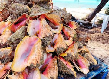 the-bahamas/bimini-islands/restaurant/big-mike-s-fresh-conch-salad