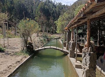 peru/junin/restaurant/restaurante-piscigranja-el-salmon