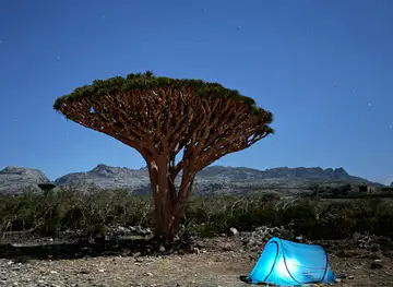 Socotra Specialty Tours