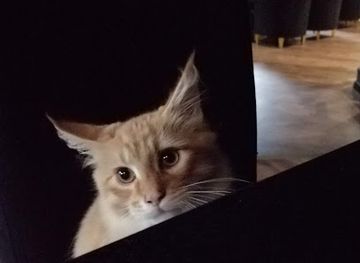 poland/suwalki/restaurant/ludowa