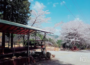 south-korea/suncheon/restaurant/sandeul-sure