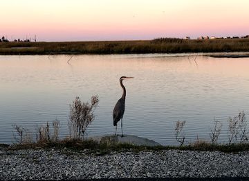 delaware/bombay-hook-national-wildlife-refuge/restaurant/prime-hook-national-wildlife-refuge