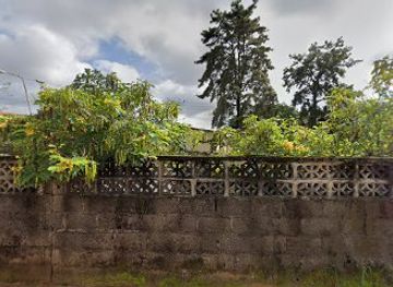 nigeria/calabar/restaurant/pecan-restaurant-and-confectionery