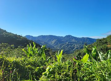 puerto-rico/arecibo-observatory/restaurant/la-union-de-todo