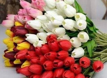 uzbekistan/urgench/restaurant/humo-to-yxonasi