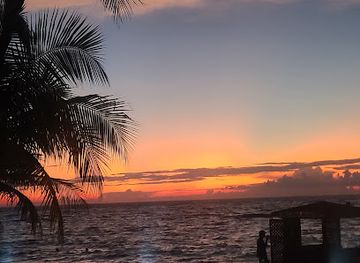 honduras/bay-islands/restaurant/la-palapa-beach-bar