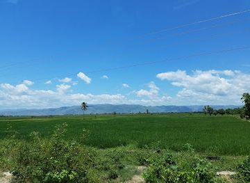 haiti/saint-marc/restaurant/marche-de-pont-sonde-haiti