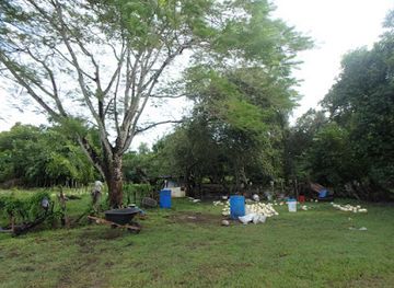 belize/crooked-tree-wildlife-sanctuary/restaurant/ava-s-cooking-class