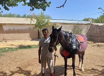 uzbekistan/shakhrisabz/restaurant/o-rikzor-restaran