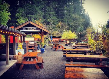 oregon/mount-hood-national-forest/restaurant/skyway-bar-grill