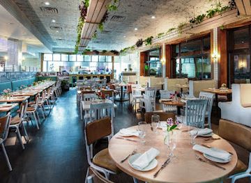 virginia/arlington/restaurant/ambar-clarendon