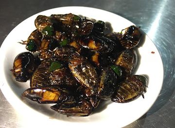 myanmar-burma/mrauk-u/restaurant/nice-meal