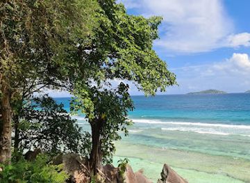 seychelles/mahe-island/restaurant/la-dolce-vita