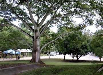 guatemala/rio-dulce/restaurant/antojitos-tere