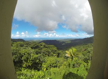 puerto-rico/yunque-national-forest/restaurant/lluvia-deli-bar-artefacto