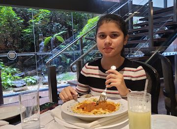 brazil/brasilia/restaurant/the-falls