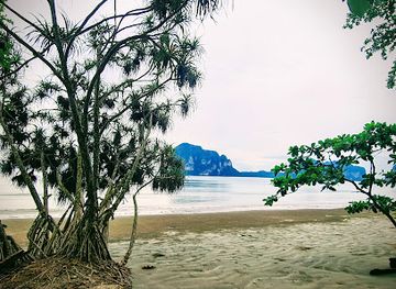 thailand/trang-archipelago/restaurant/krukit-restaurant