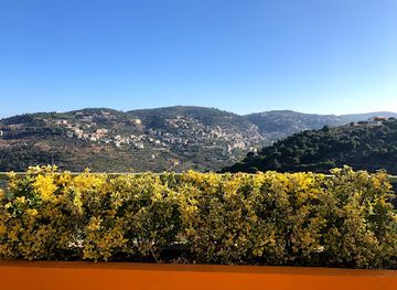 lebanon/chouf-district/restaurant/veritas-life