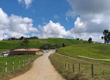 colombia/los-llanos/restaurant/restaurante-vallecitos