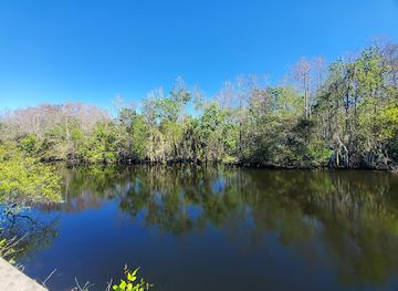 florida/big-cypress-national-preserve/restaurant/h-p-williams-roadside-park