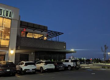 texas/rio-grande-valley/restaurant/toloa-rooftop