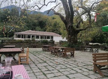 albania/mirdita/restaurant/rrapi-traditional-albanian-restaurant