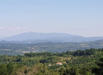 romania/buila-vanturarita-national-park/restaurant/mici-la-dedulesti