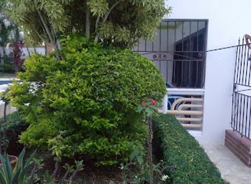 dominican-republic/bayahibe/restaurant/restaurant-bayahibe