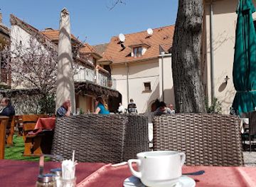 hungary/sopron-wine-region/restaurant/erhardt-etterem-panzio-borpince-es-vinoteka