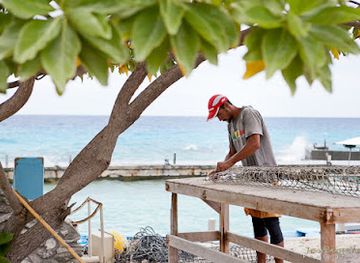 french-polynesia/rangiroa/restaurant/gauguin-s-pearl-tahitian-pearl-farm