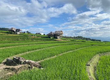 thailand/doi-inthanon/restaurant/restaurant-pa-pong-piang