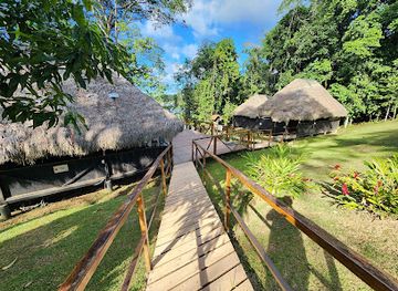 ecuador/cuyabeno-wildlife-reserve/restaurant/cuyabeno-lodge