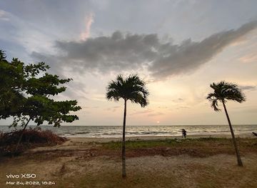 gabon/pongara-national-park/restaurant/samo-beach