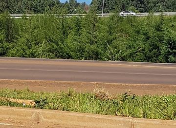 kenya/kitale/restaurant/grassland-resort