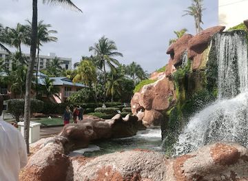 the-bahamas/nassau-and-paradise-island/restaurant/sun-and-ice-ice-cream-parlour