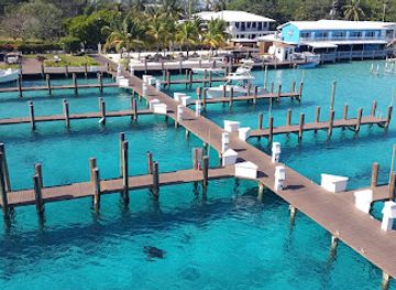 the-bahamas/bimini/restaurant/bimini-big-john-s