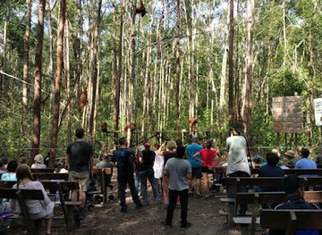 indonesia/tanjung-puting-national-park/restaurant/cv-dolphindo-orangutan-tour-tanjung-puting