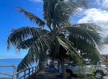 french-polynesia/windward-islands/restaurant/restaurant-taharuu