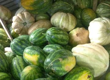 grenada/sauteurs/restaurant/rama-bar