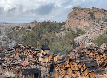 new-mexico/sangre-de-cristo-mountains/restaurant/nosa-restaurant-inn